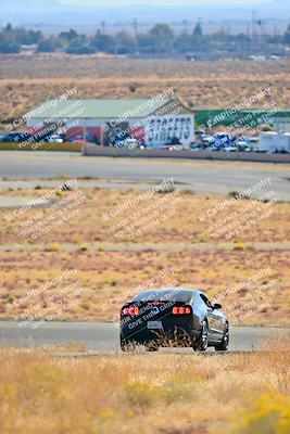 media/Nov-16-2024-Extreme Speed (Sat) [[6587d07cc4]]/Gold Group/Session 1 (Turn 2)/